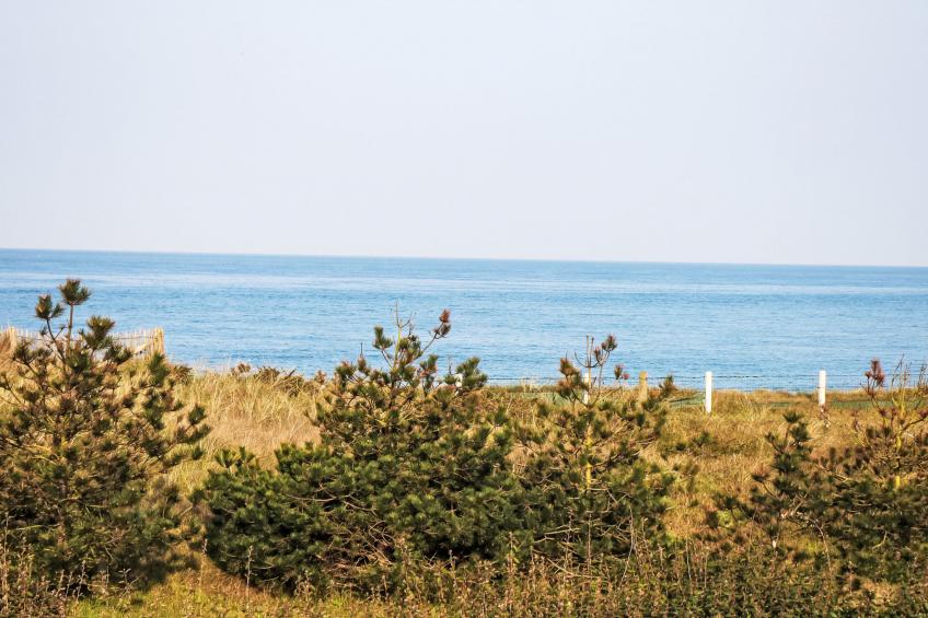 l'Escale dunes, Strände 20 Meter entfernt, Meerblick - foto 52
