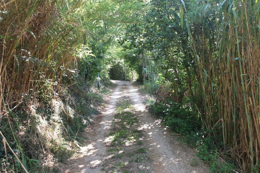 Am Fluss gelegenes Haus mit Galerieschlafplätzen - foto 19