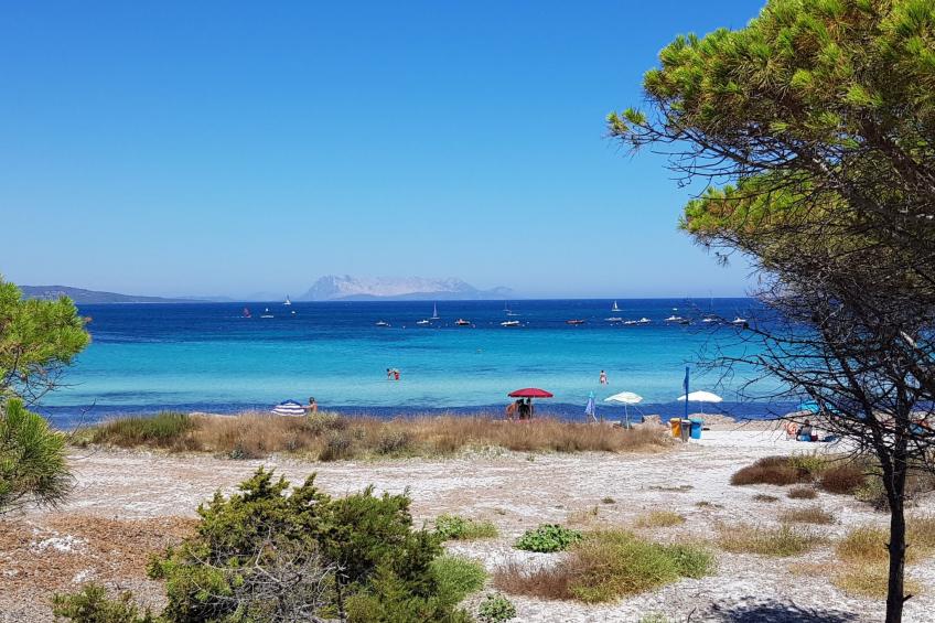 Vacanze Celeste - foto 10