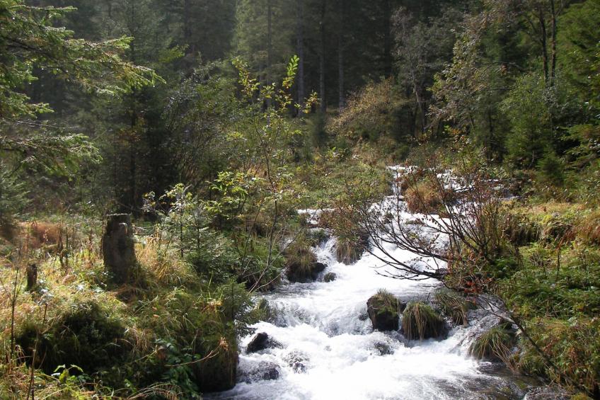 Chalet "Lena" - foto 41