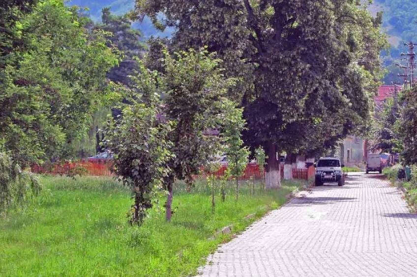 Casa Nicu - traditionelles Landhaus in Hirtendorf - foto 21