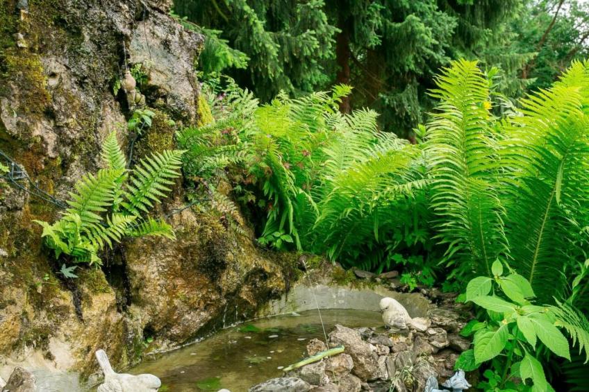 in Walkenried mit Gepflegtem Garten - foto 15