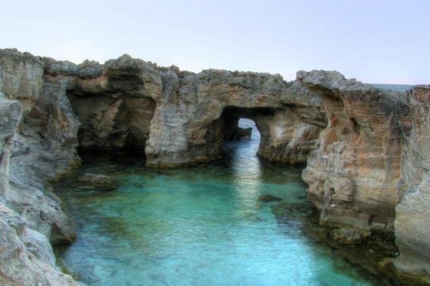 Girasoli in Tricase Porto - foto 36