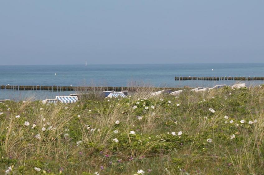Hagen - foto 32