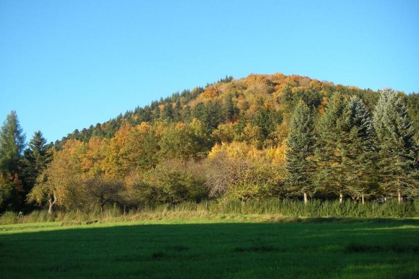 Haus "Hermann" - foto 39