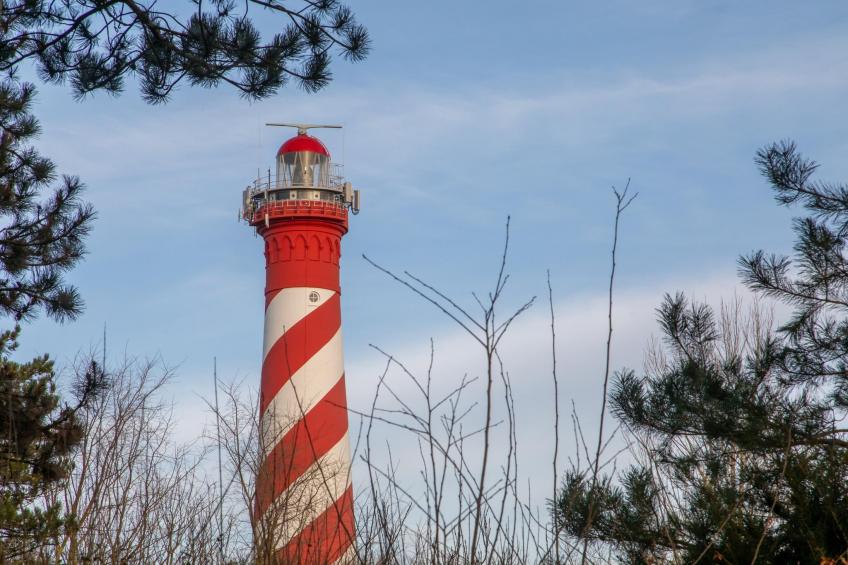 Duinhoeve Chalet Vogel - Huisdier niet toegestaan - foto 27