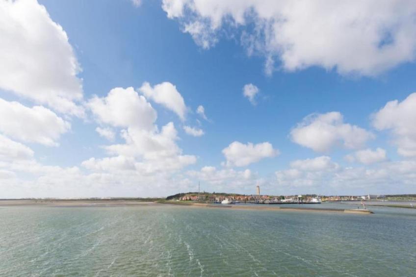 Duindroom op Terschelling - foto 38