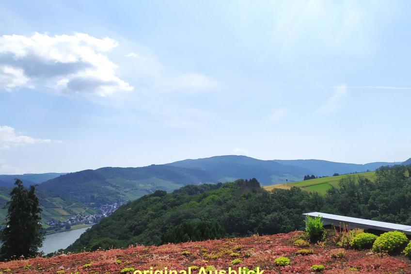 Appartement in Medenscheid mit Garten und Terrasse - foto 2