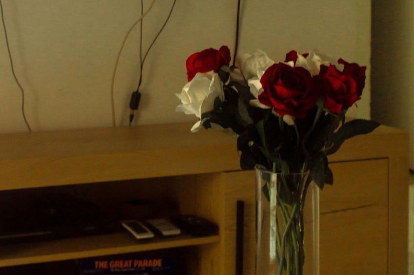 Touristische Wohnung "Apt. mit Balkonen". - foto 13