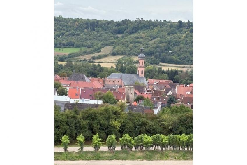 768737 - foto 2