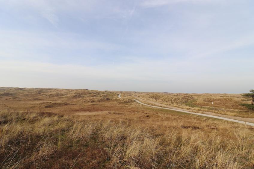 Luxe safaritent op Ameland - foto 15
