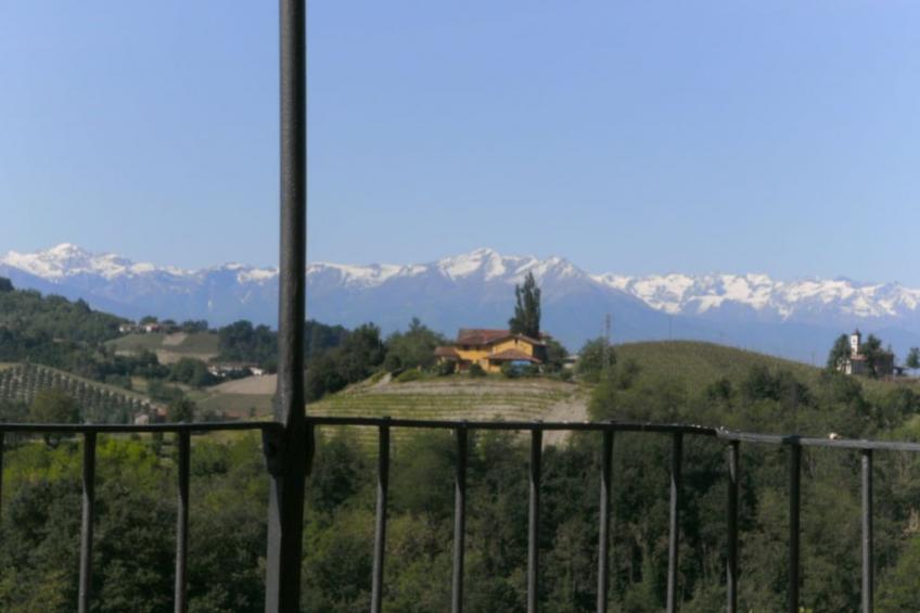 46361 - foto 6