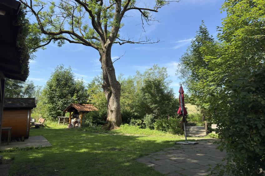 vakantiehuis, Buntenbock - foto 38