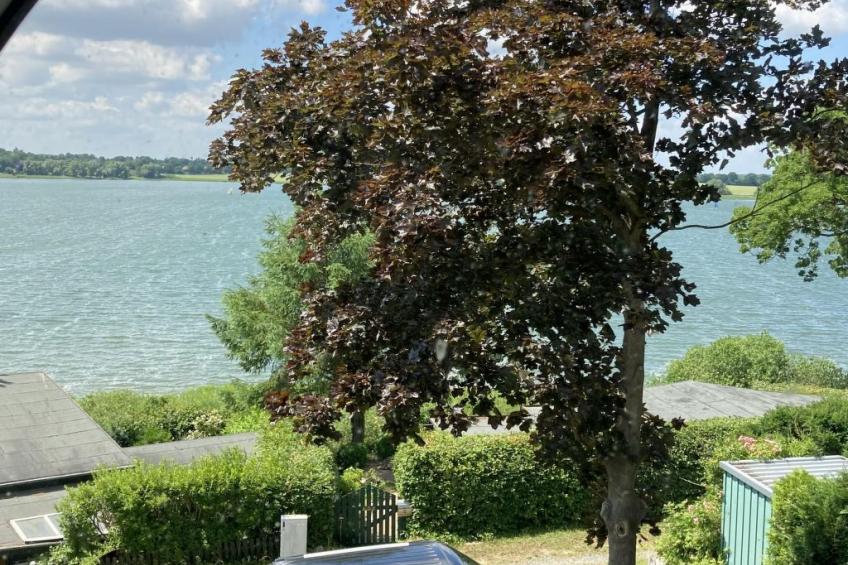 in Klingberg mit Seeblick - foto 50