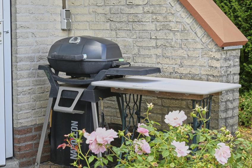 Rose Garden - foto 24