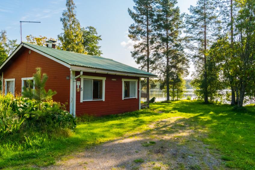 Saniainen