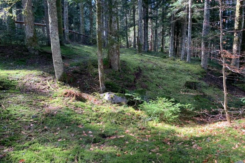 Goutte-Claire - foto 29