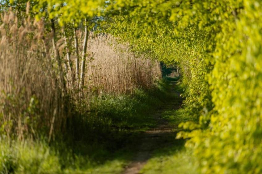 Hausboot in Zehdenick - foto 29