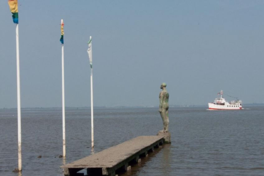 137342 - foto 18