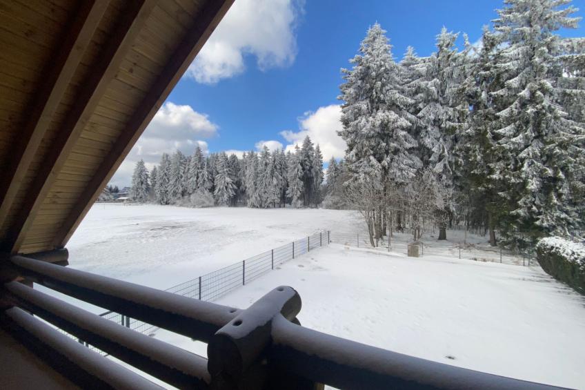 am Rennsteig - foto 2