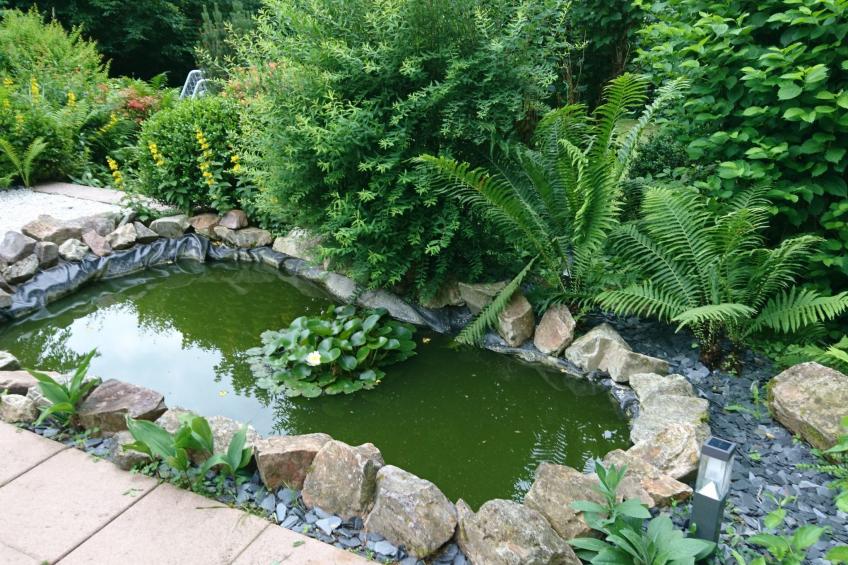 in Im Trieschelbach mit Großem Garten - foto 24