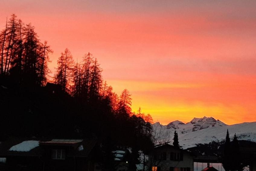 Wintersport Flims/Laax, Obersaxen, Brigels - foto 18