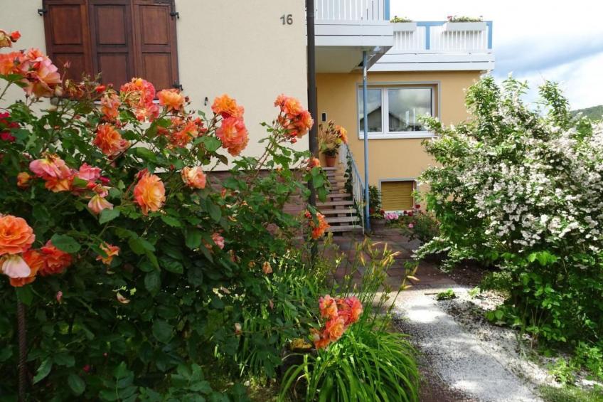 Haus Holzheimer mit Blick auf die Rhön - foto 11