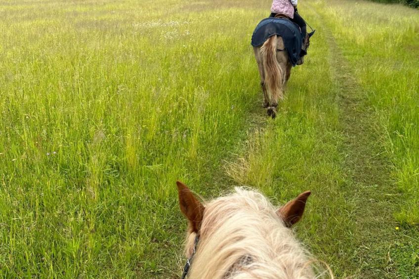 in  Green Valley Park 4 - foto 32