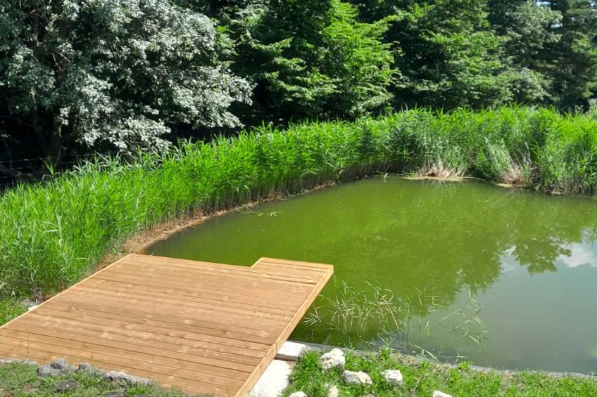 Hidden Authentic Haven Apartments - Two Bedroom Apartment with Balcony - foto 30