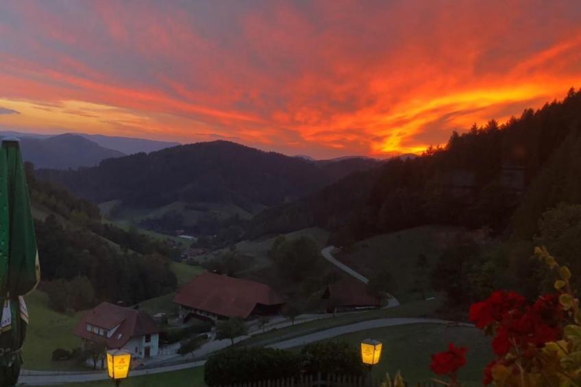 FeWo mit Whirlpool und Fass-Sauna im Schwarzwald - foto 23