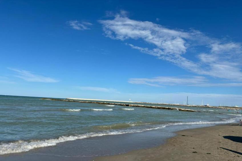 Olio - foto 35