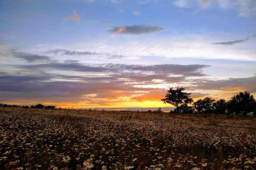 La Ferme Ranciat - foto 38