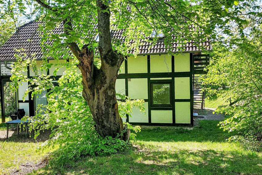 Sternberg 227 - foto 6