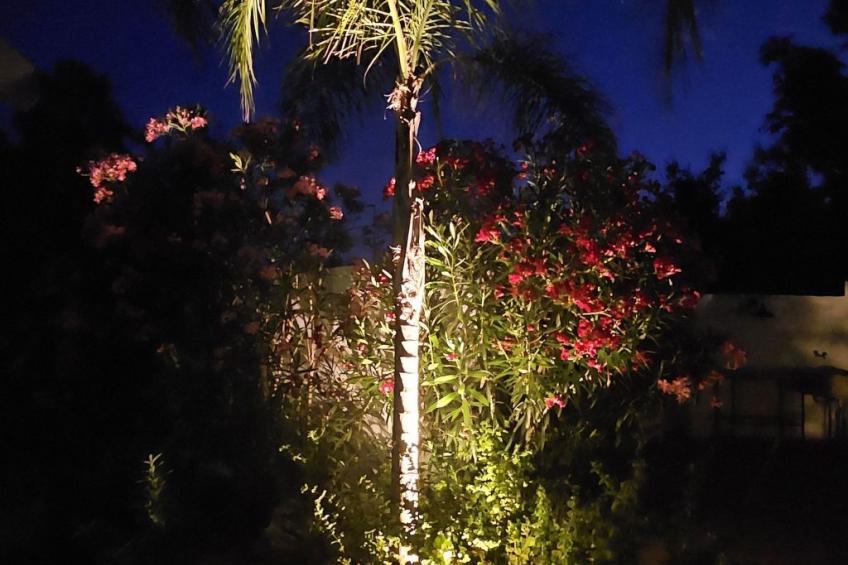 Wohnung 'Serendila' mit Wallbox - foto 37