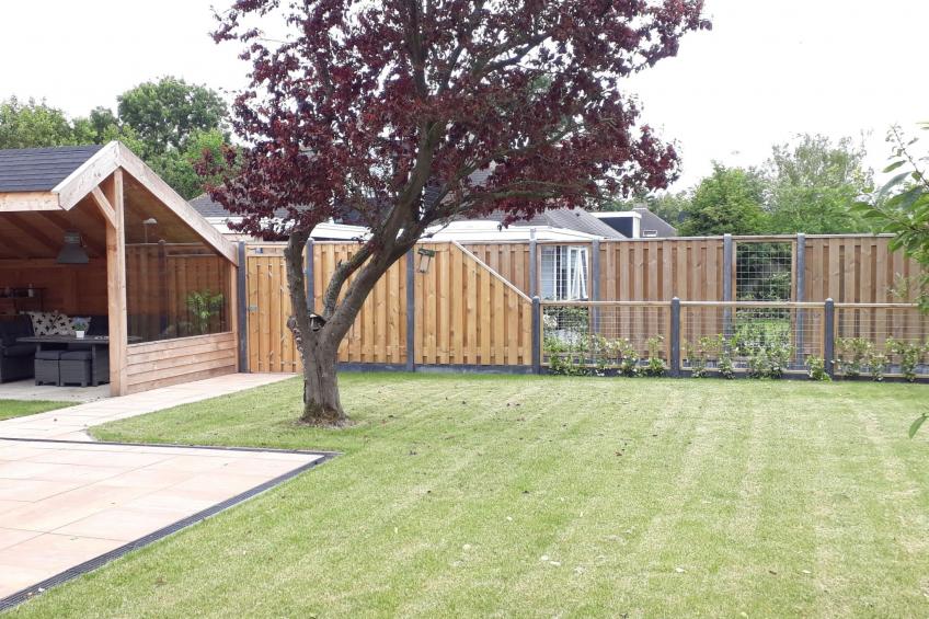 am Meer in Zeeland - foto 6