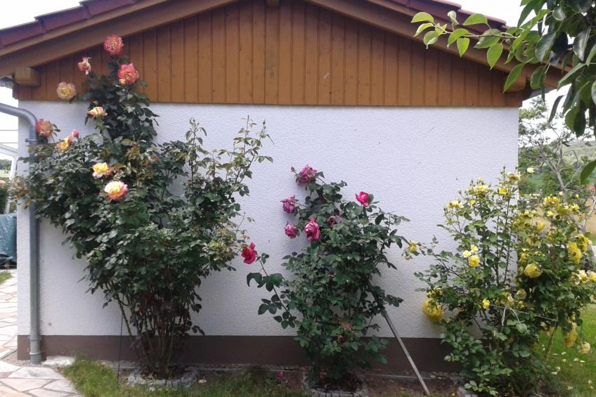 Gemütliche Ferienwohnung mit Garten - foto 15