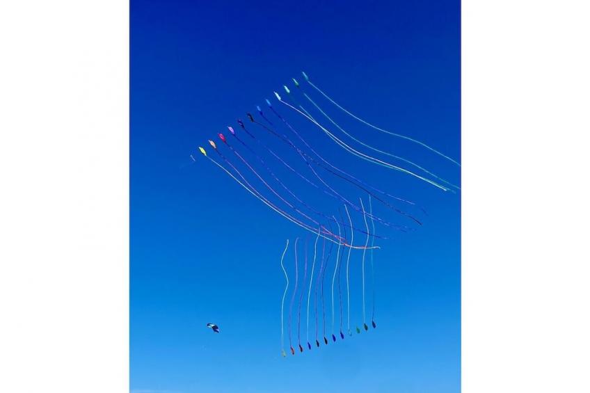 393474 - foto 25