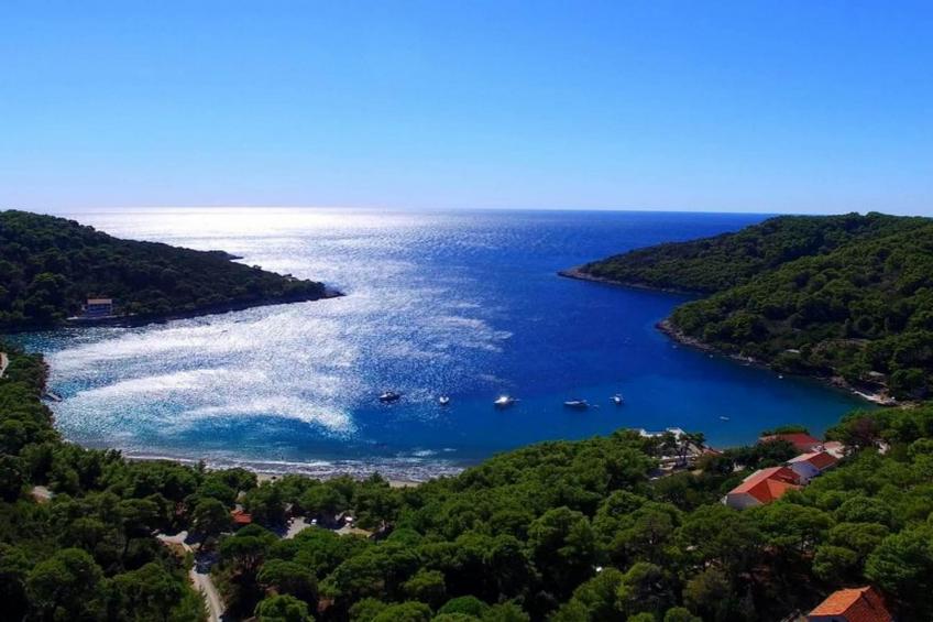 Apartments Matuško Mljet - One Bedroom Apartment with Balcony and Sea View - foto 20