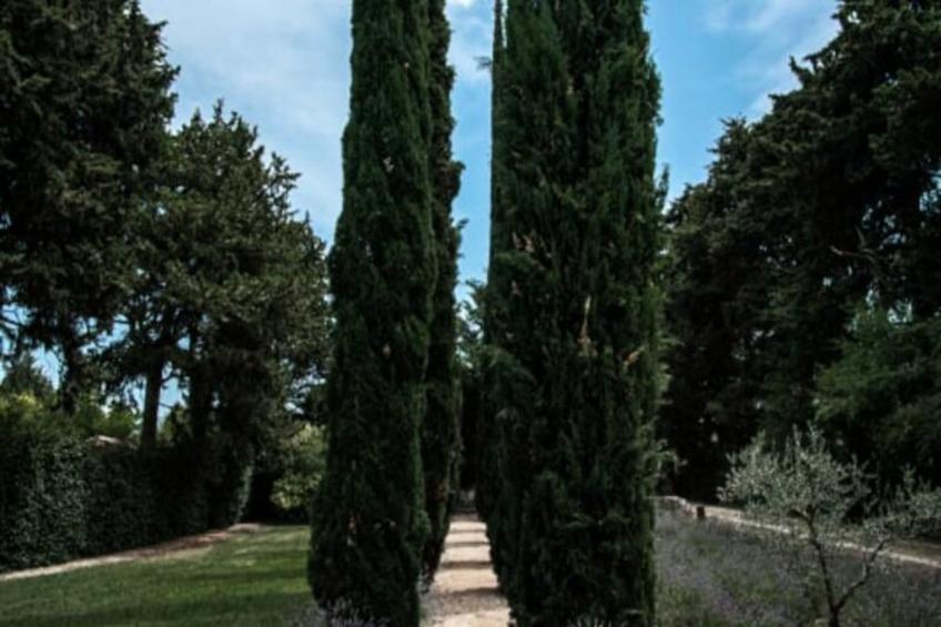 Le Mas De Jalique - Isle-sur-la-sorgue - foto 31