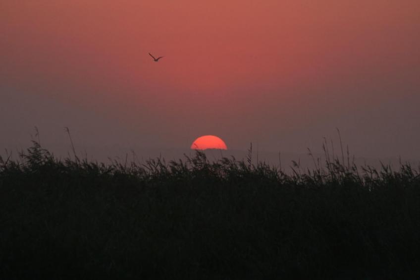 Gemütliches Ferienhaus mit eigener Terrasse - foto 12