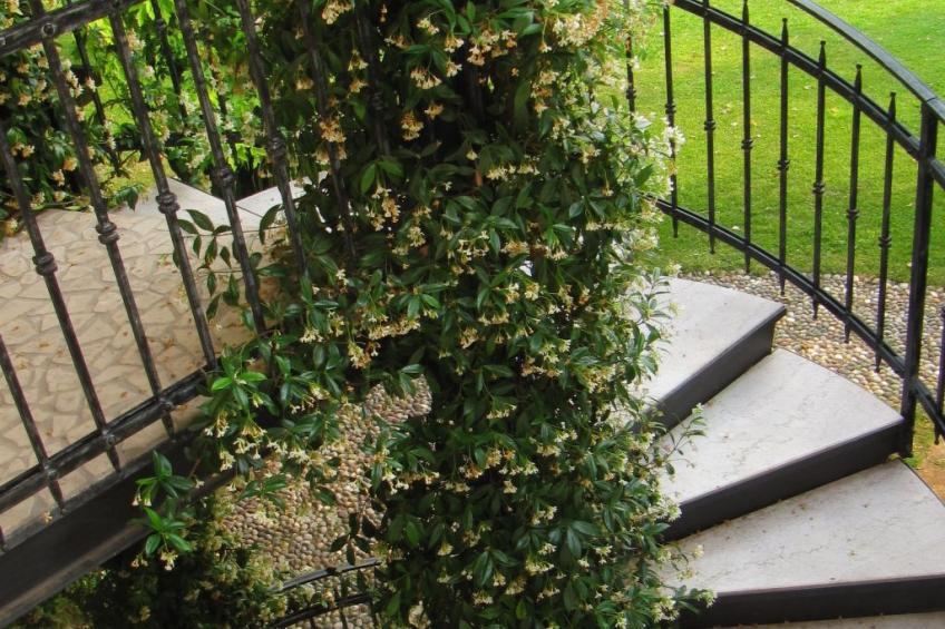 Wohnung mit Blick auf den Gardasee - foto 7