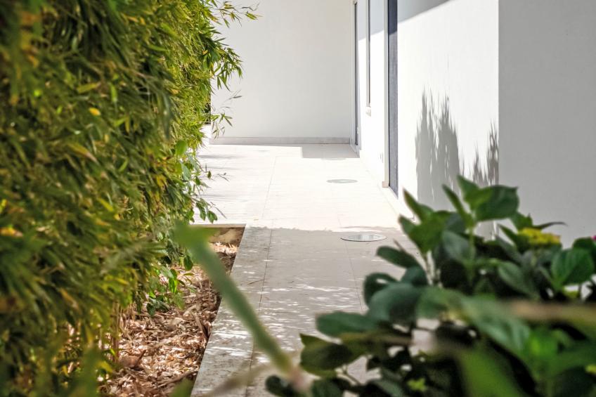 Mulberry Garden - foto 166