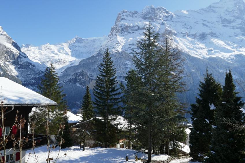 Chalet Colette - foto 37