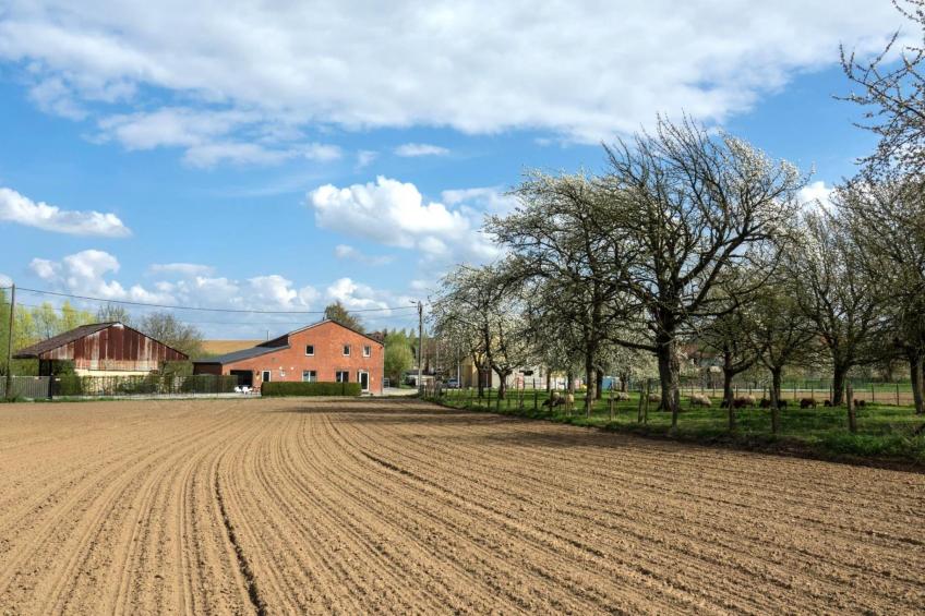 Huis van de raaf - foto 33