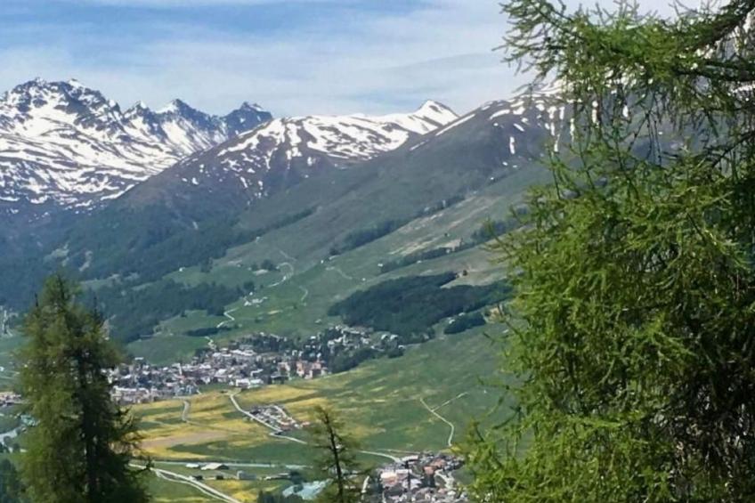 Chesa Robbi S-chanf - foto 6