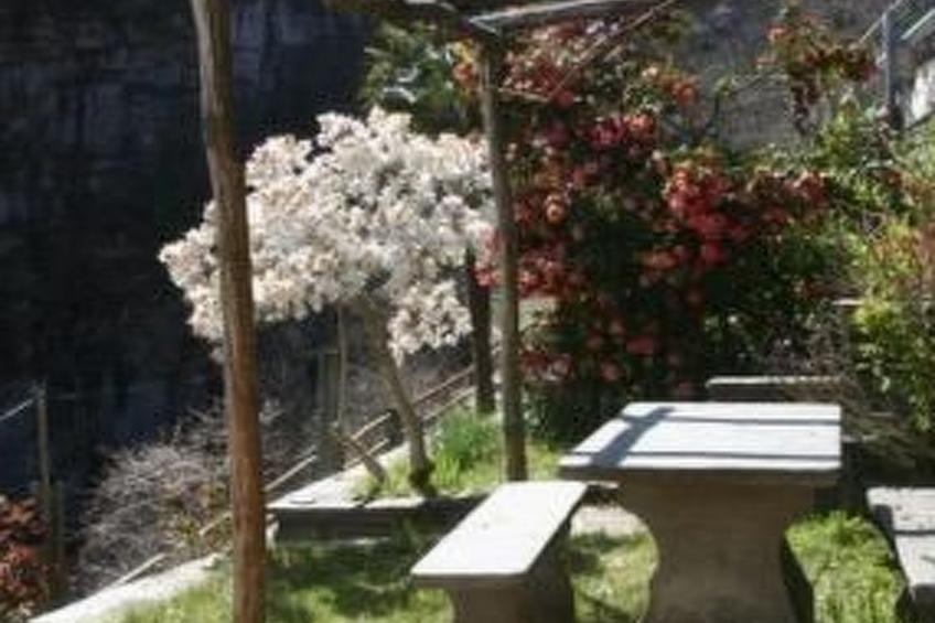 Traumferienhaus - foto 5