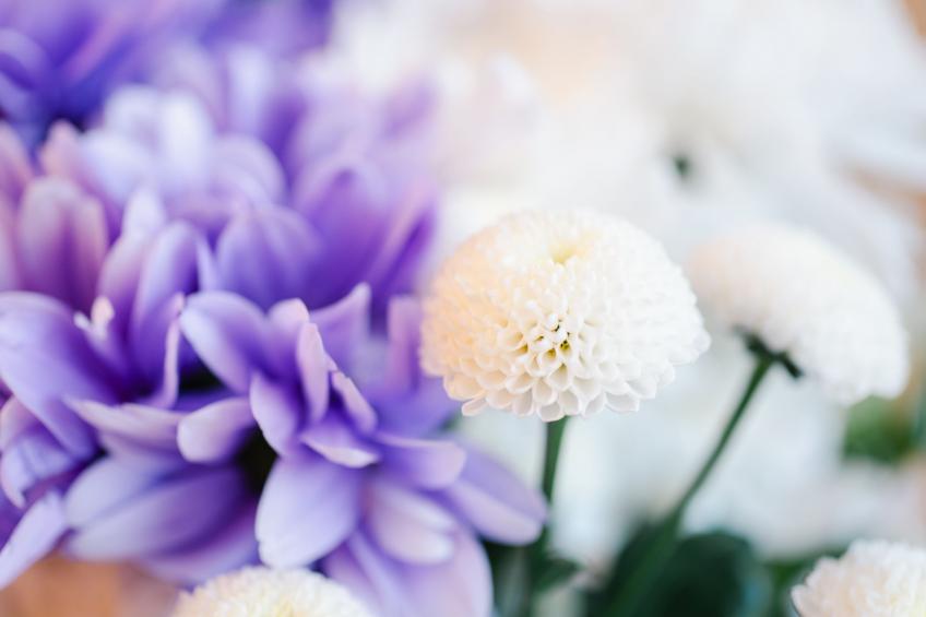 Cooriedoon - foto 49