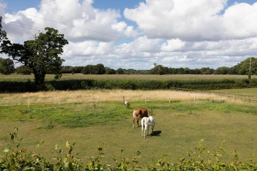 Netley Hall - Angelica - foto 24