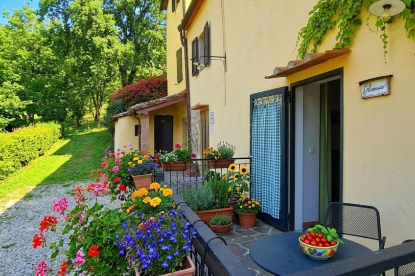 Gelsomino - foto 3