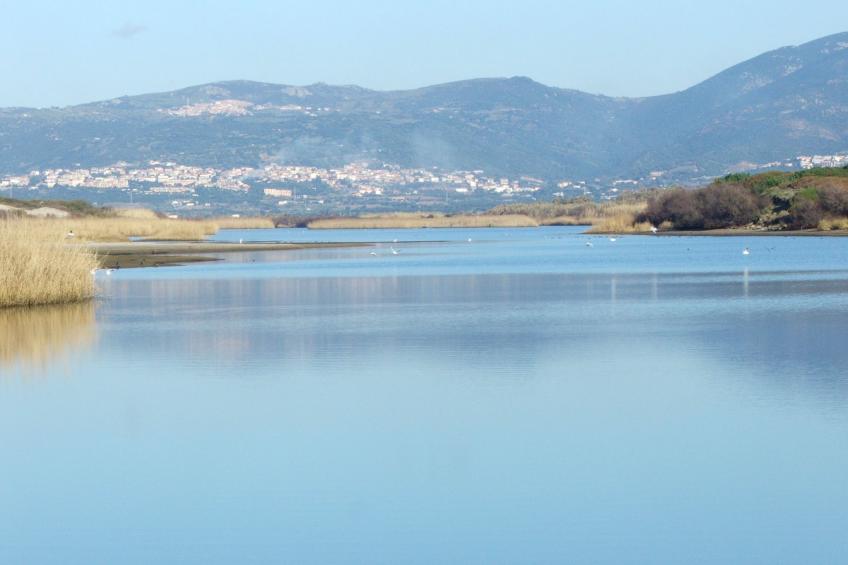 Sardinia Hillside Retreat – Apt 13, 2BR - foto 35